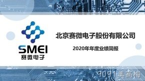 9091美高梅2020年度业绩简报